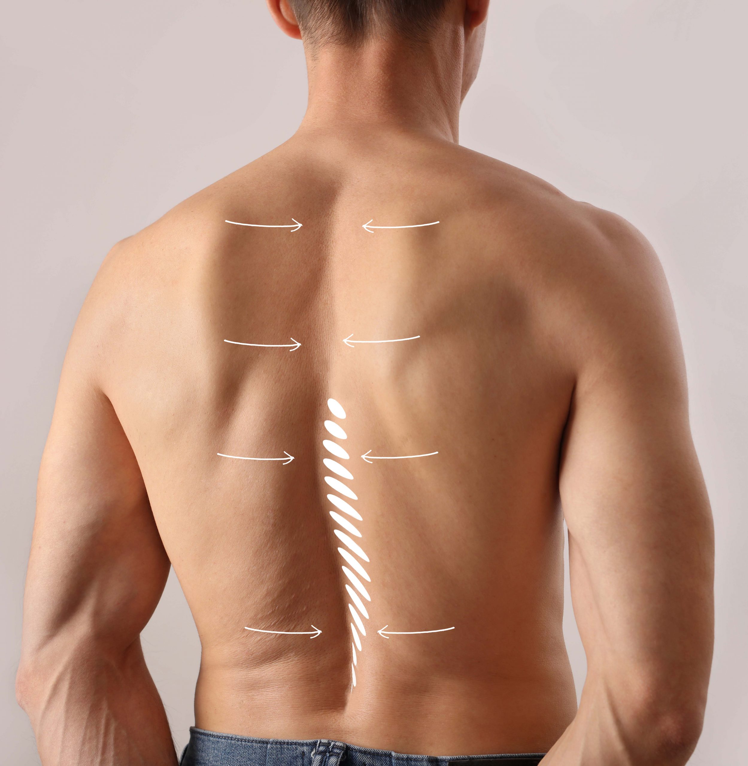 Régis Mahieu_Dos_3_web